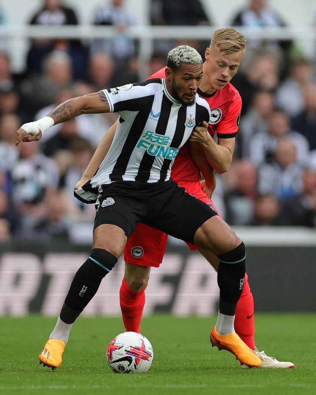 仅反映了他 仅反映了他